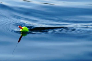 fishing hook in the water