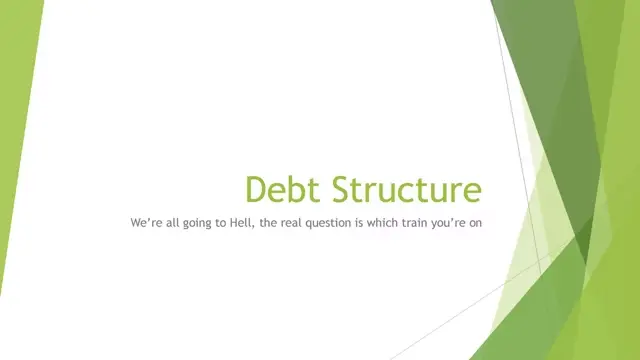 Debt Structure Analysis